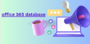 office 365 database
