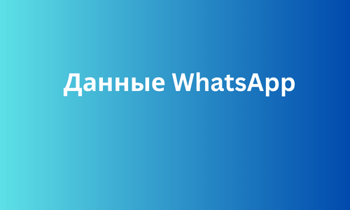 Данные WhatsApp